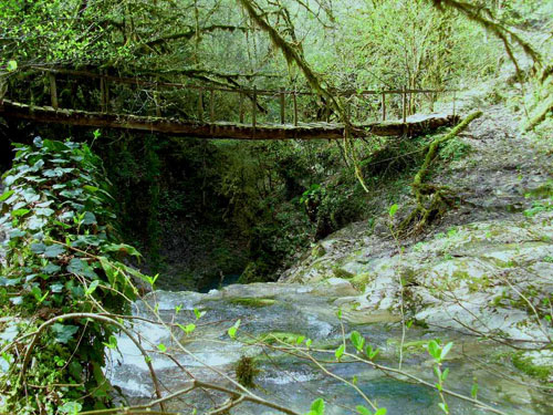 ���������� ������� �� ���� ��������� � ����